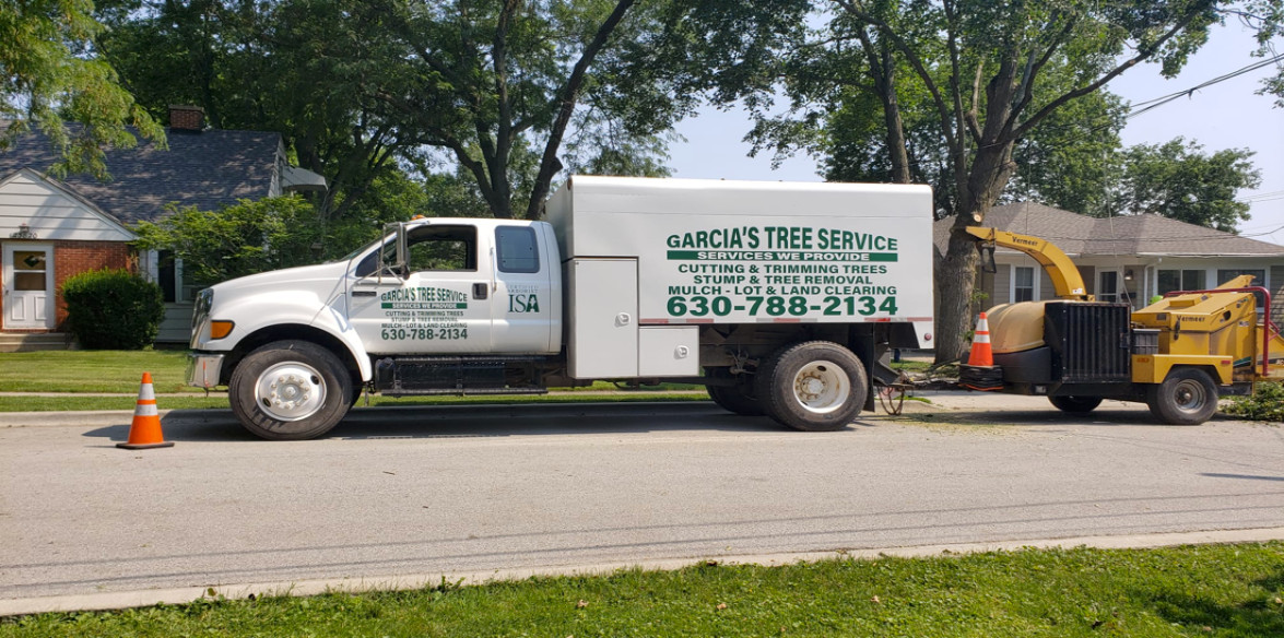 Tree Trimming Services